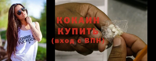 МДПВ Бородино