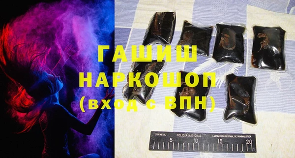 МДПВ Бородино